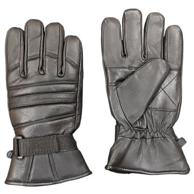 Ski Gloves