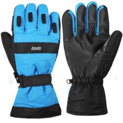 Ski Gloves Blue Black