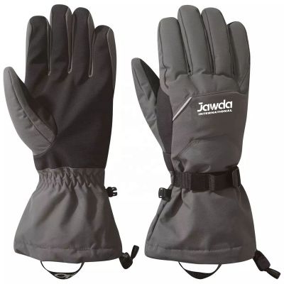 Grey Ski Gloves