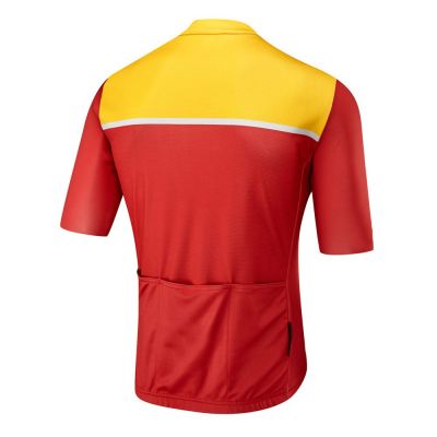 Standard Cycling Jersey #2